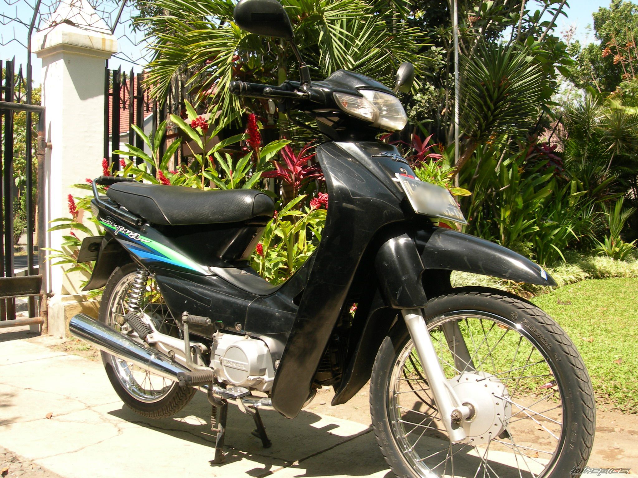 Photo 1431815