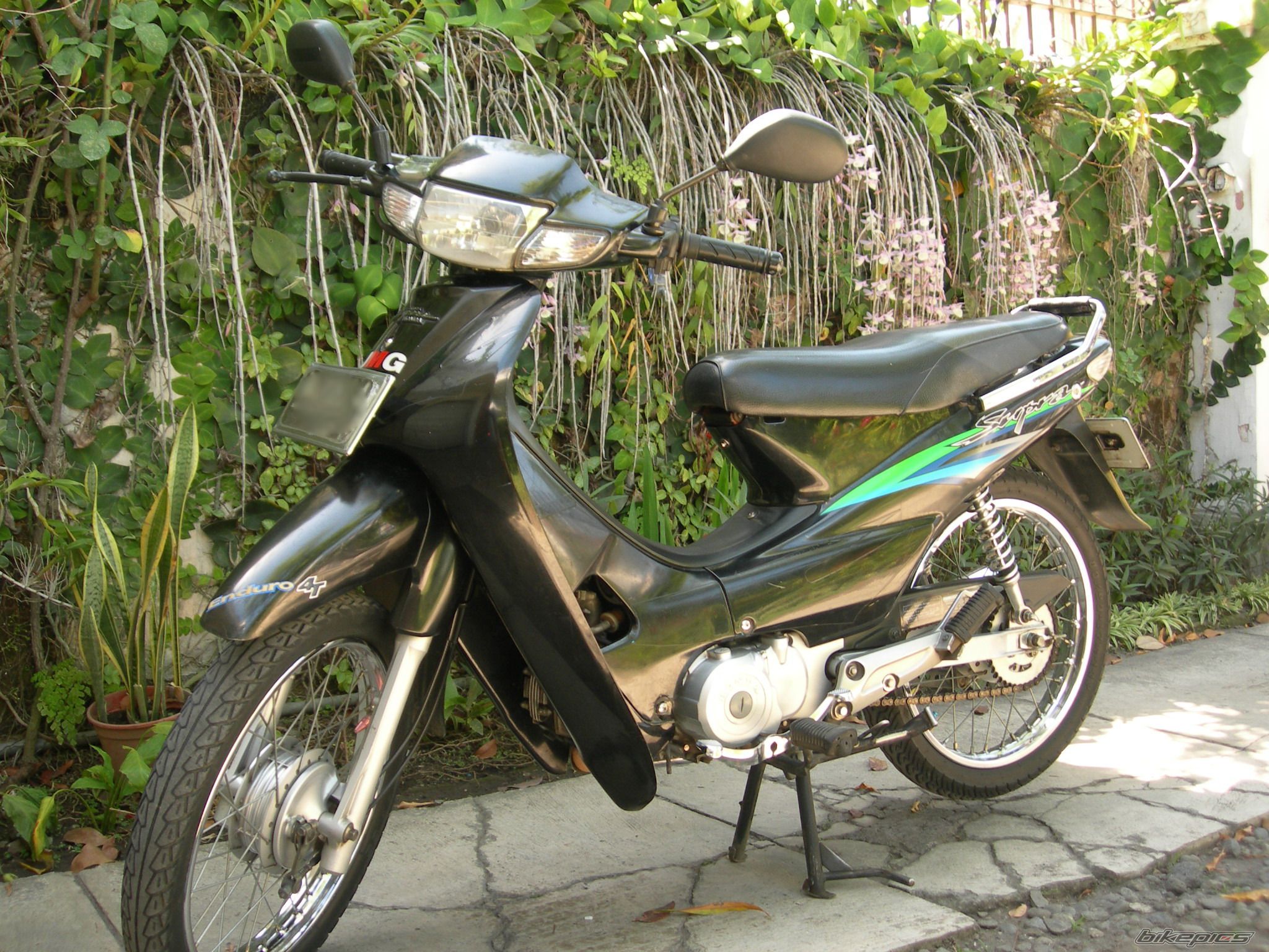 Photo 1431834