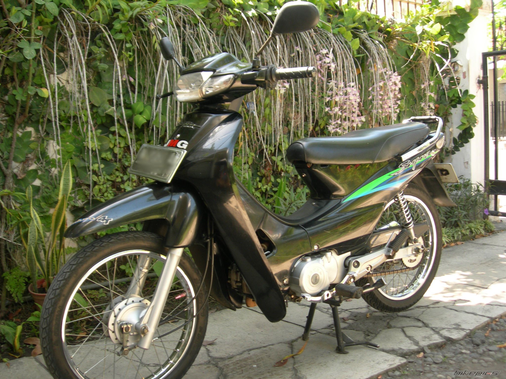 Photo 1431838