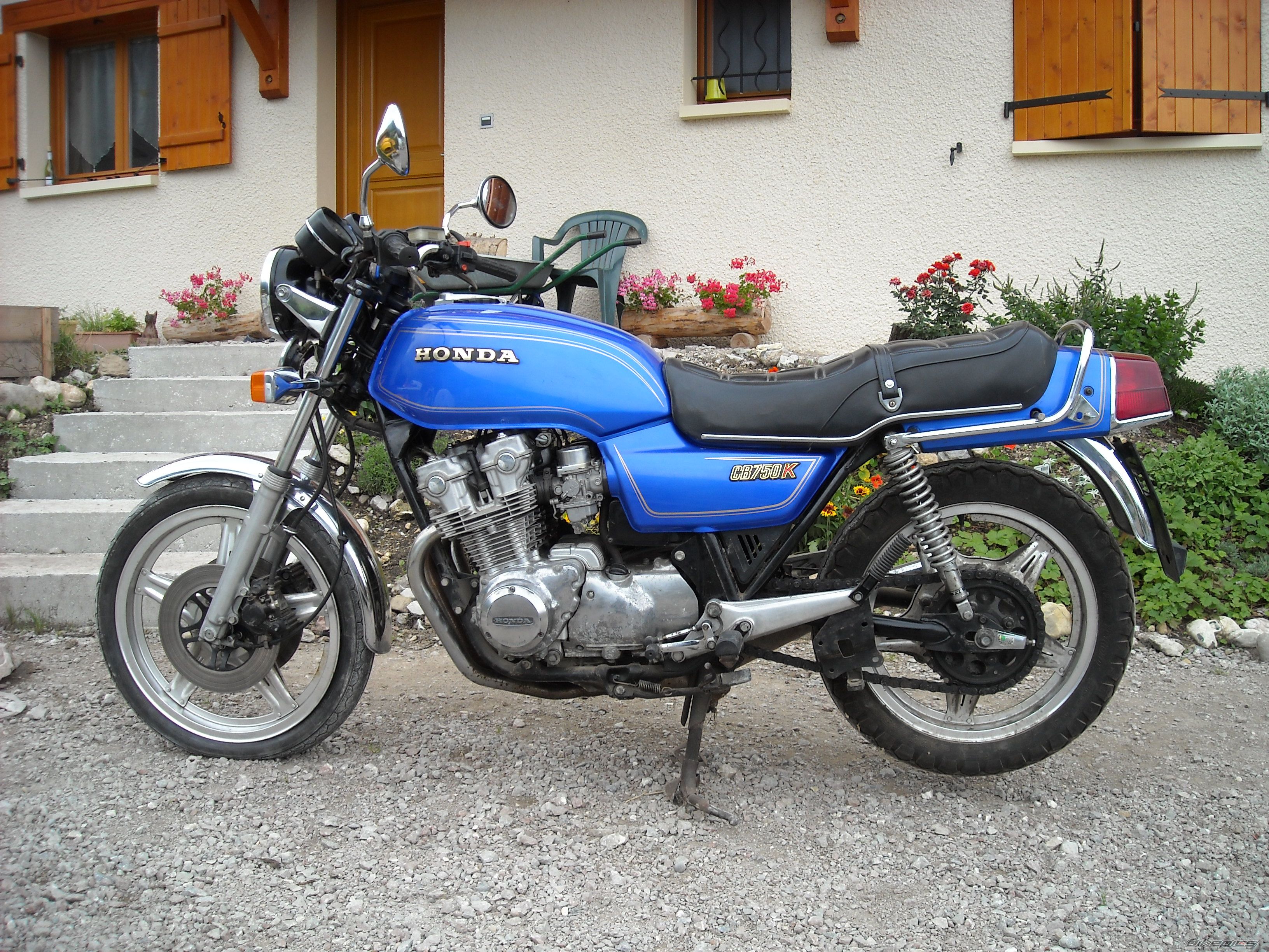 Photo 1431842