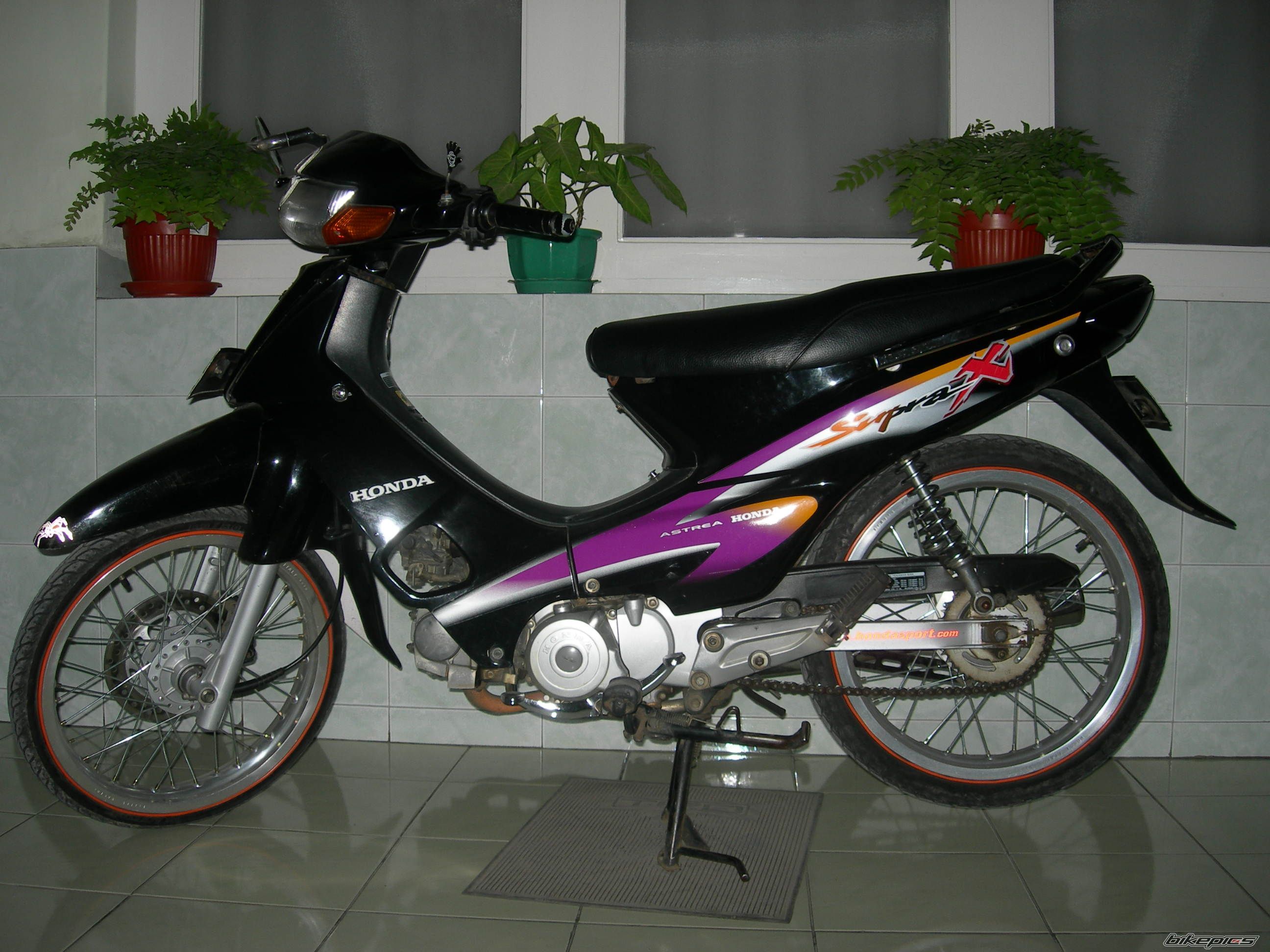 Photo 1431845