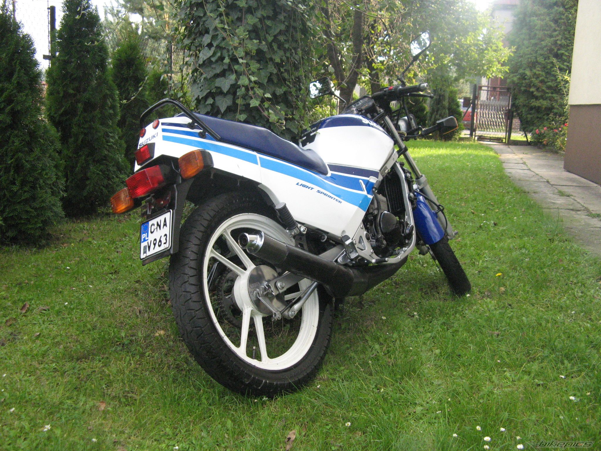 Photo 1431865