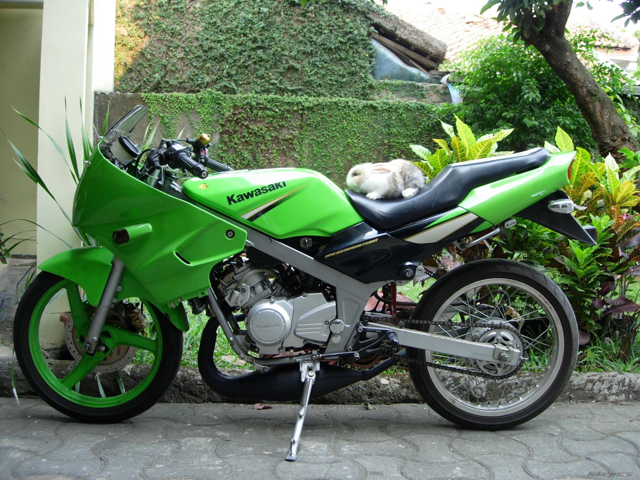 Photo 1431871
