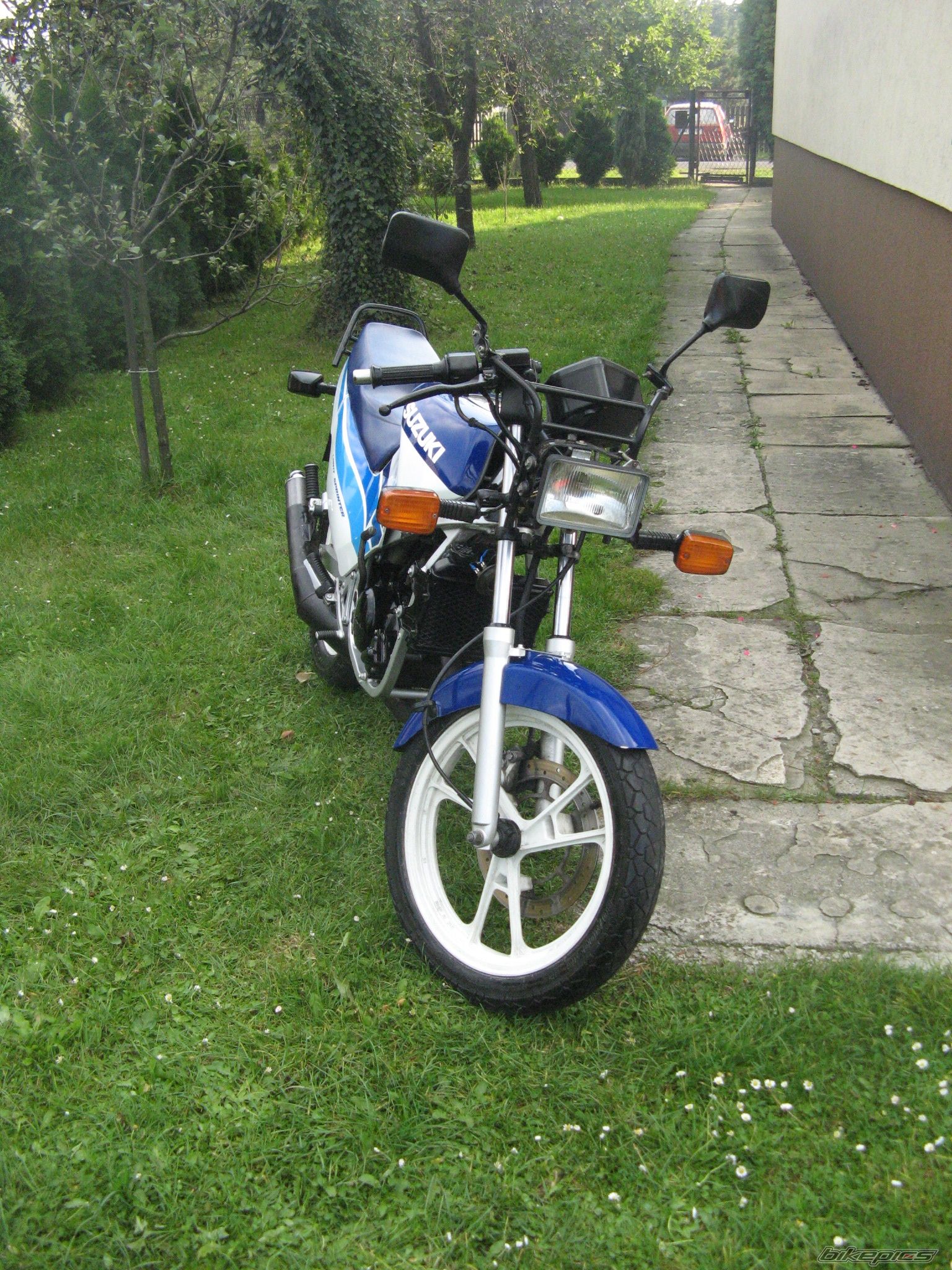 Photo 1431874