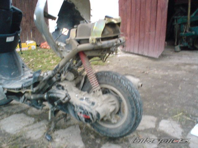 Photo 1431878