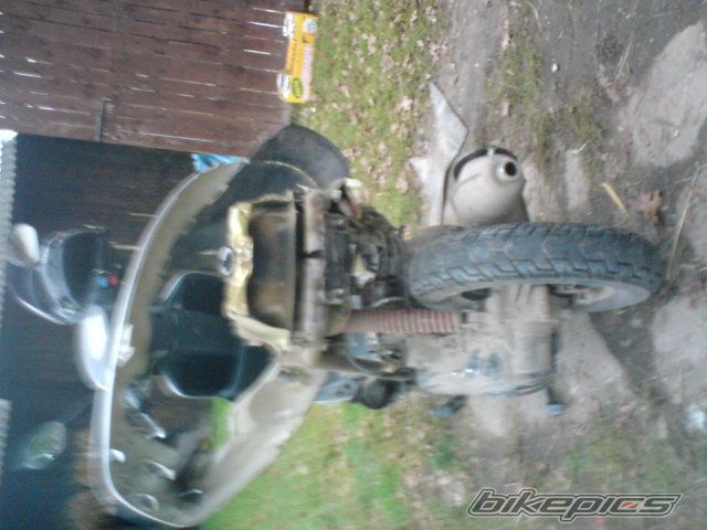 Photo 1431879