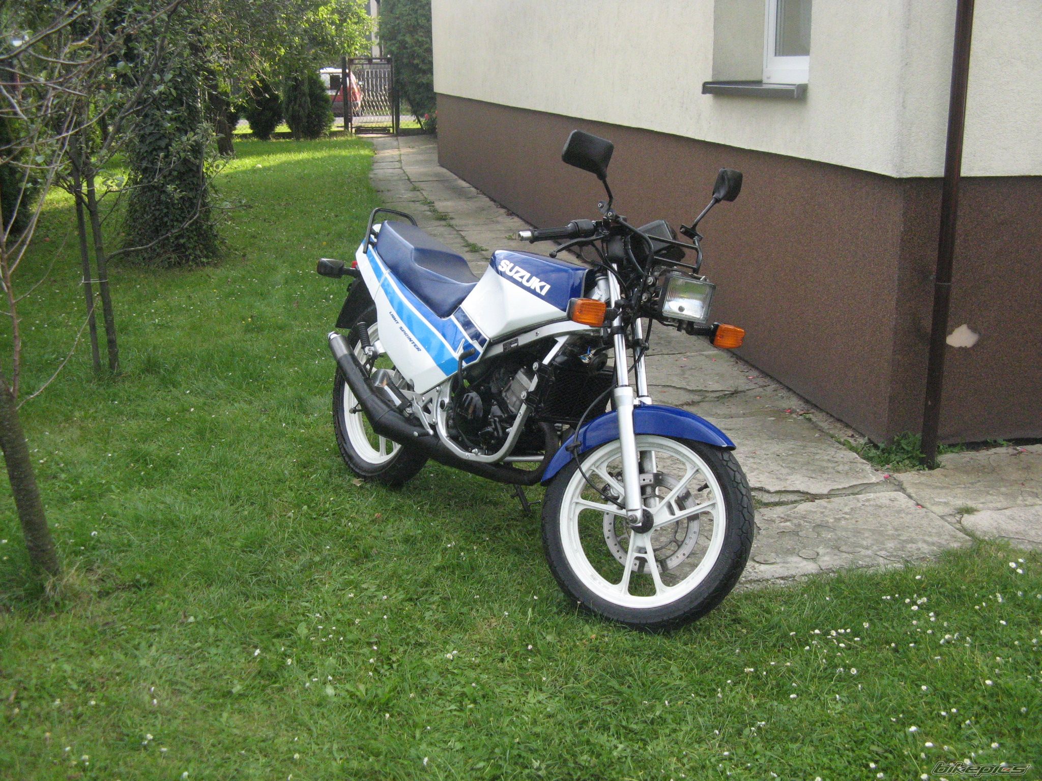 Photo 1431899
