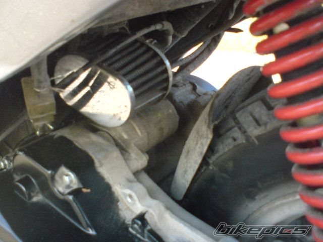Photo 1431902