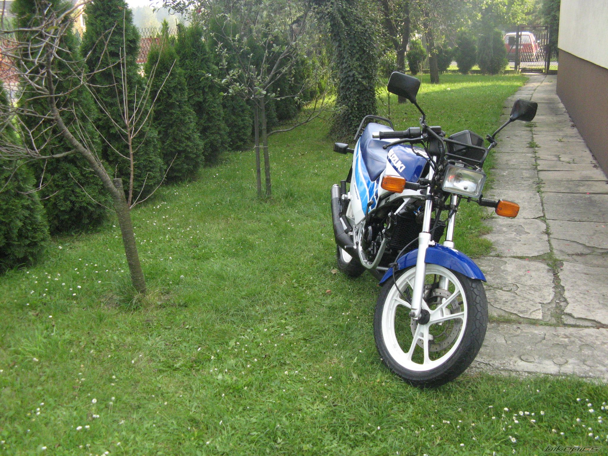 Photo 1431911