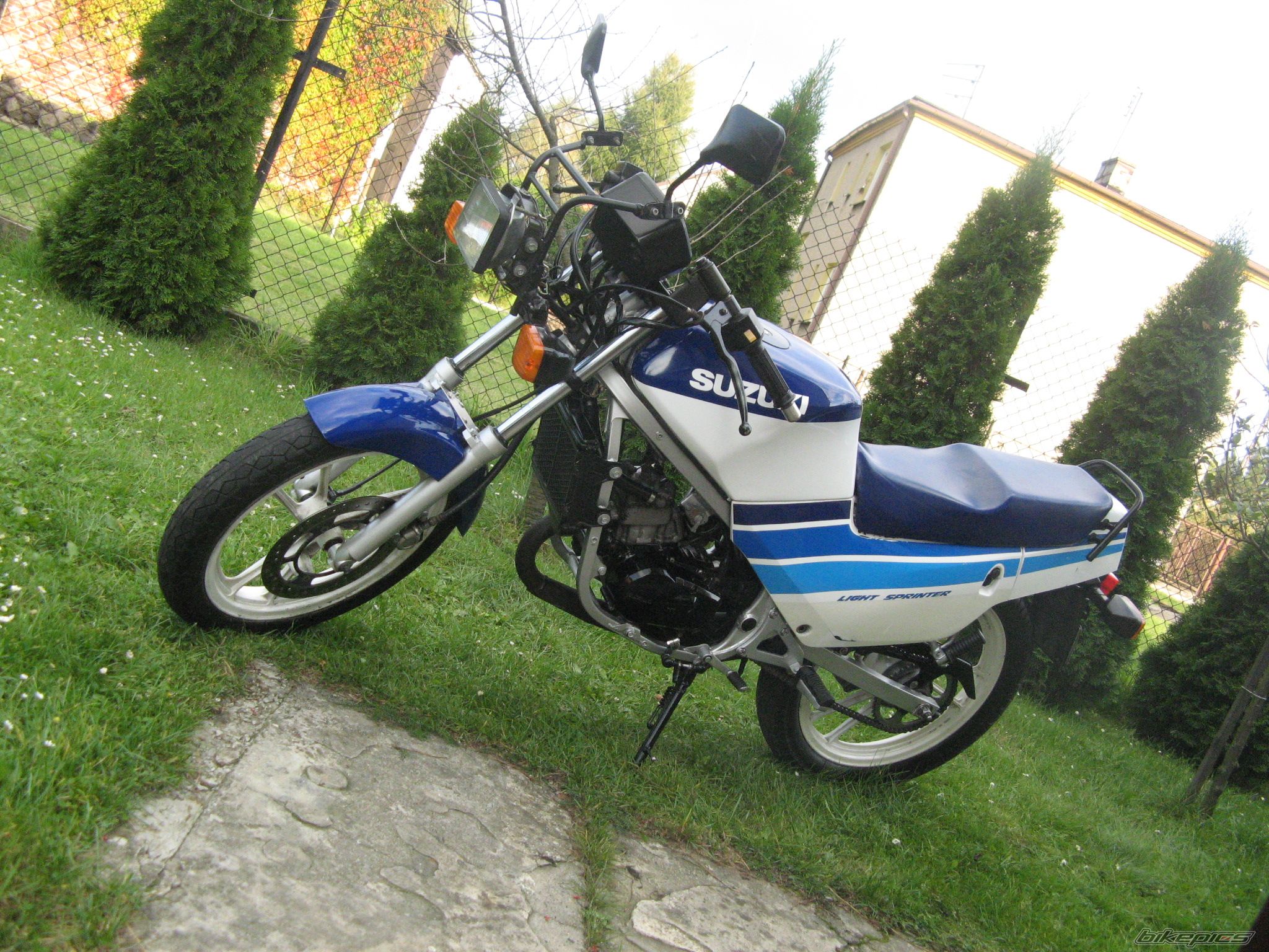 Photo 1431937