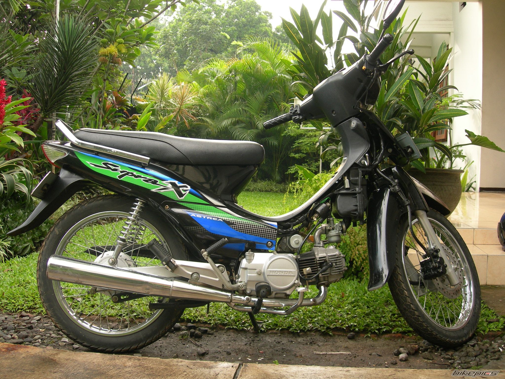 Photo 1431944