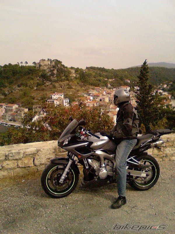 Photo 1431982