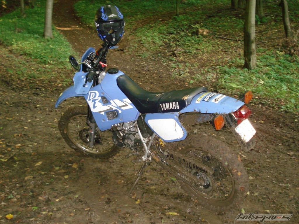 Bike Photo 1432029