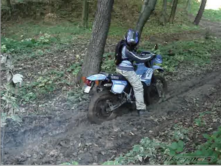 Bike Photo 1432030