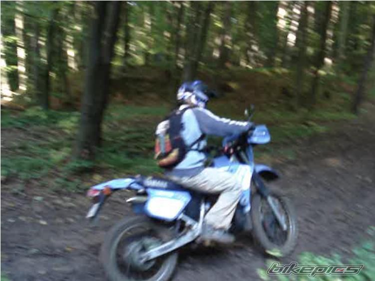 Photo 1432032