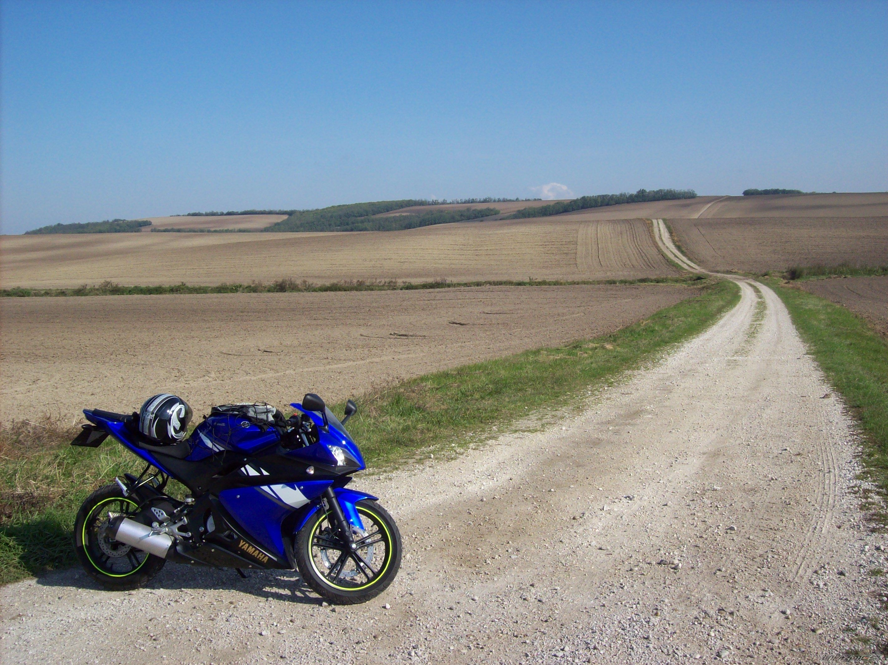 Photo 1432129
