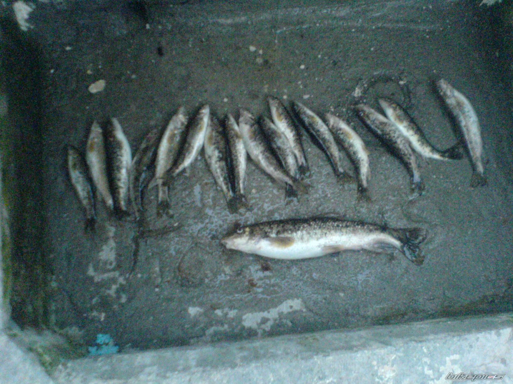 Photo 1432152