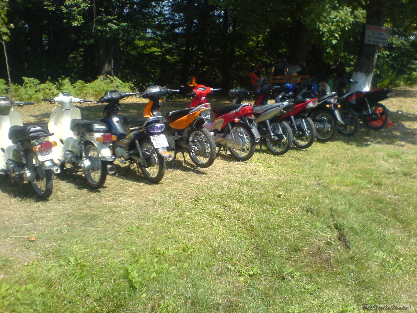 Photo 1432161