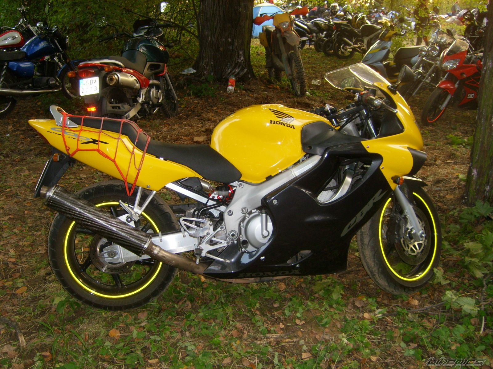 Photo 1432243