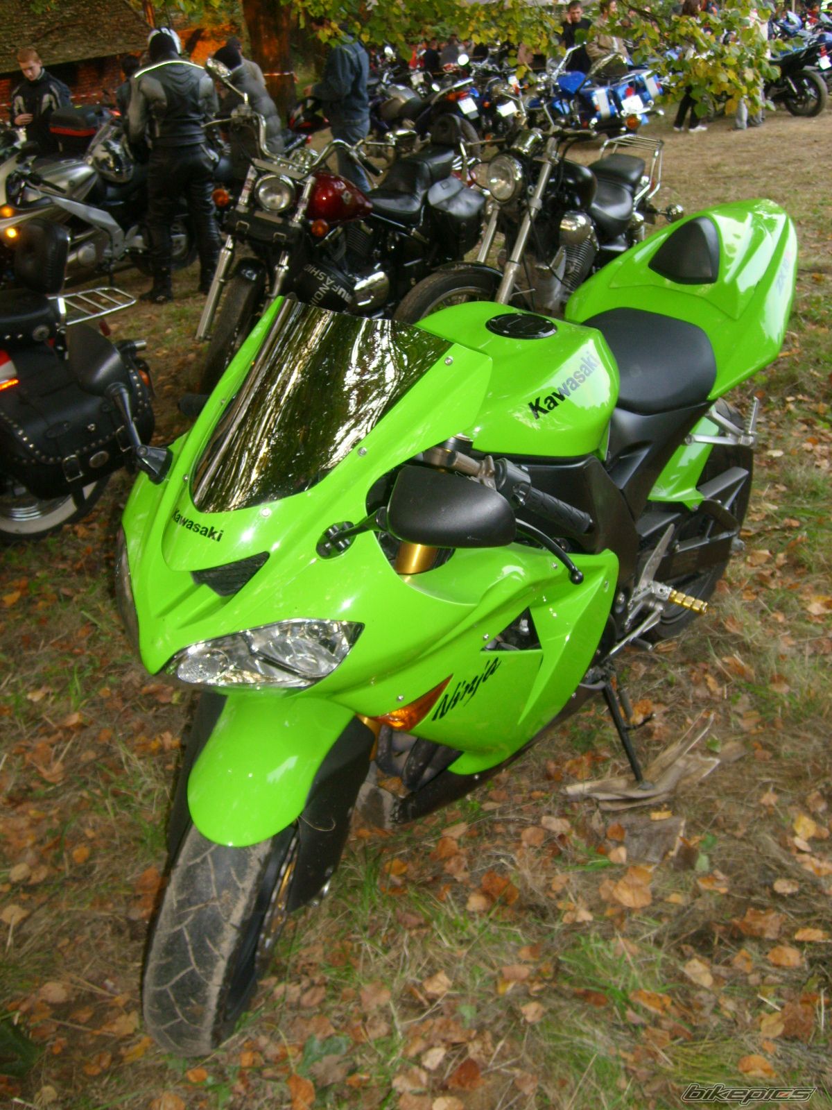 Photo 1432251