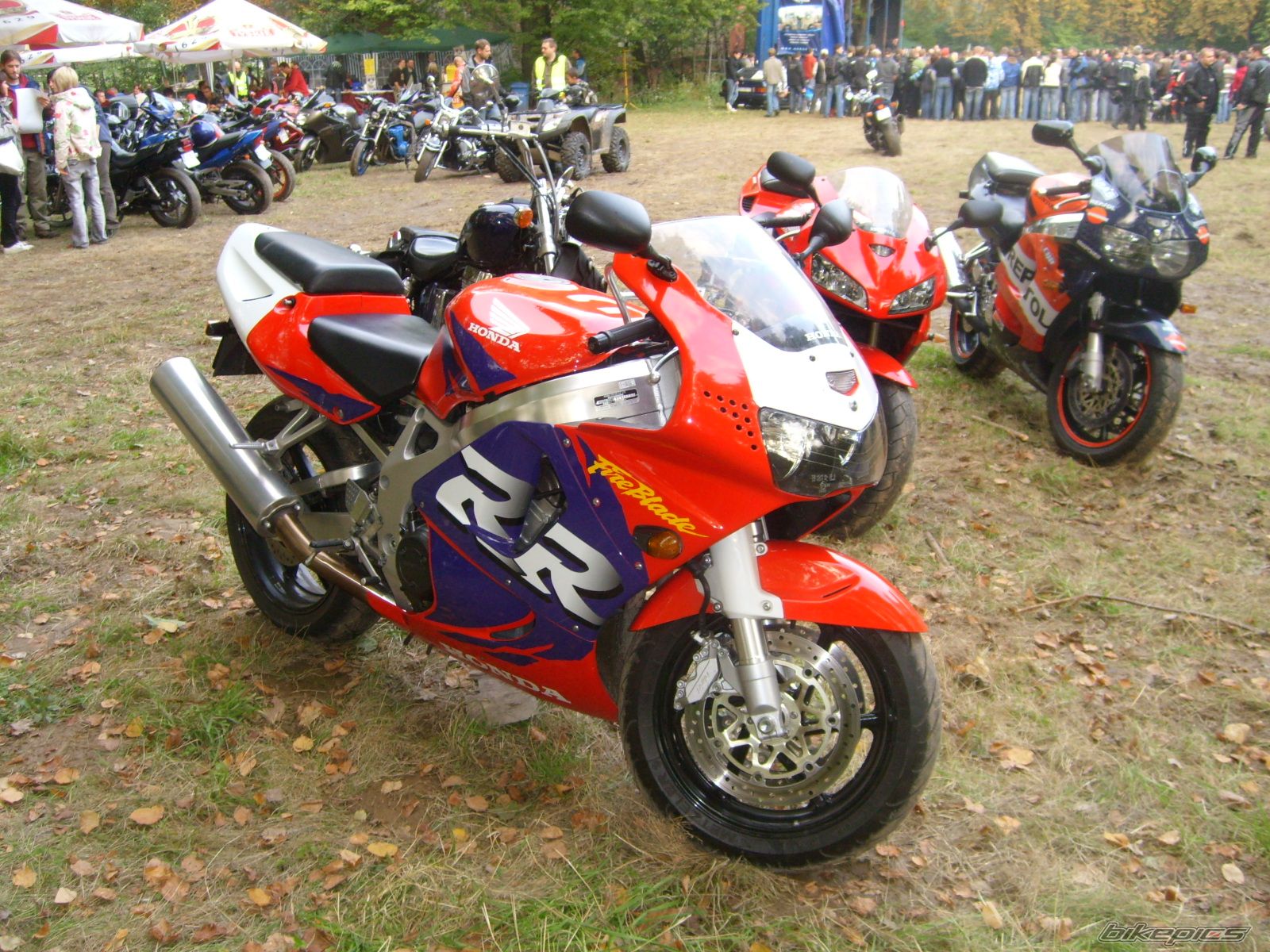 Photo 1432255