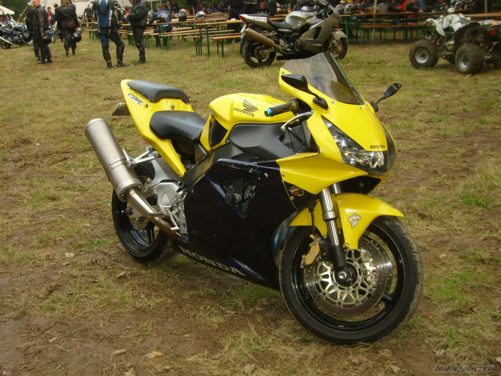 Photo 1432259