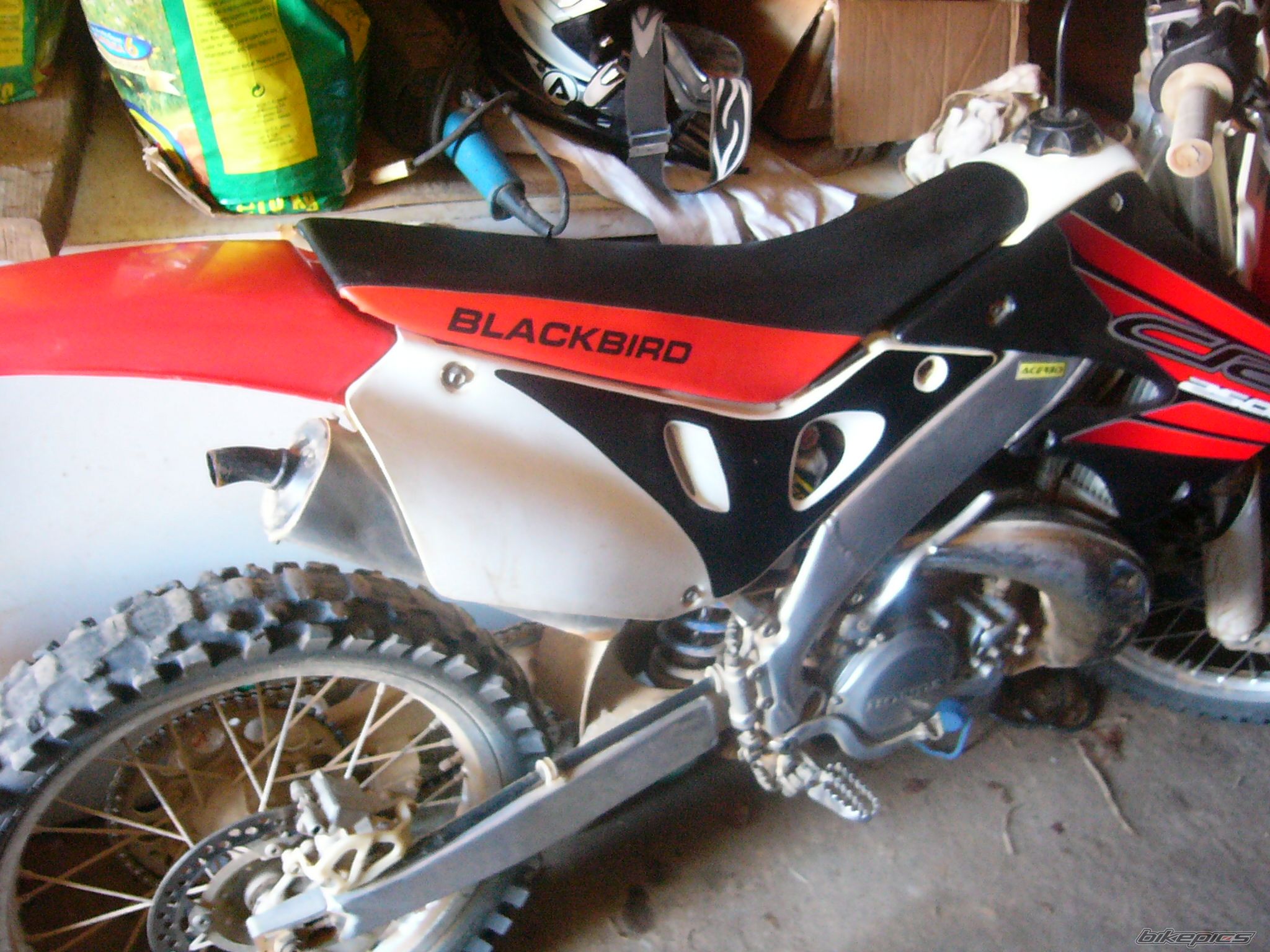 Photo 1432260