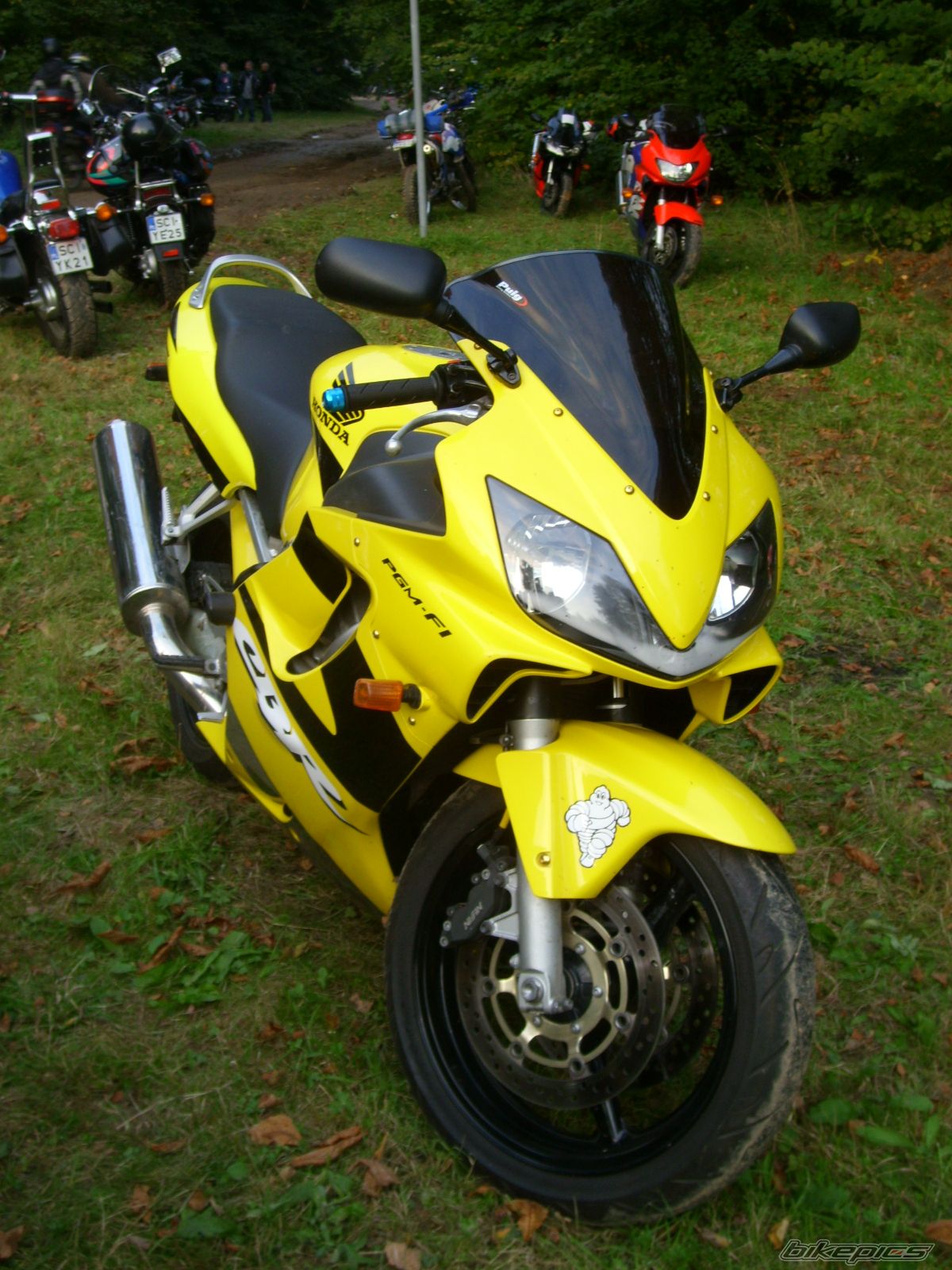 Photo 1432269