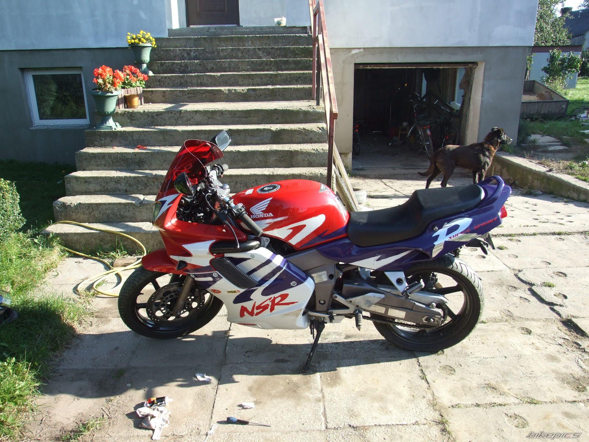 Photo 1432275