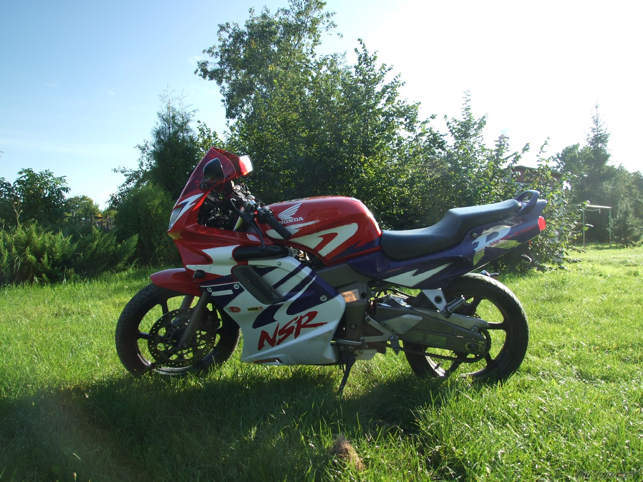 Photo 1432280