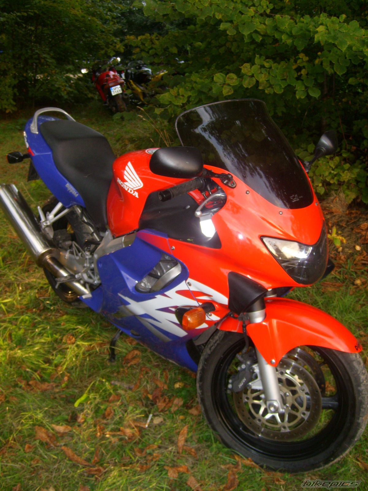 Photo 1432288