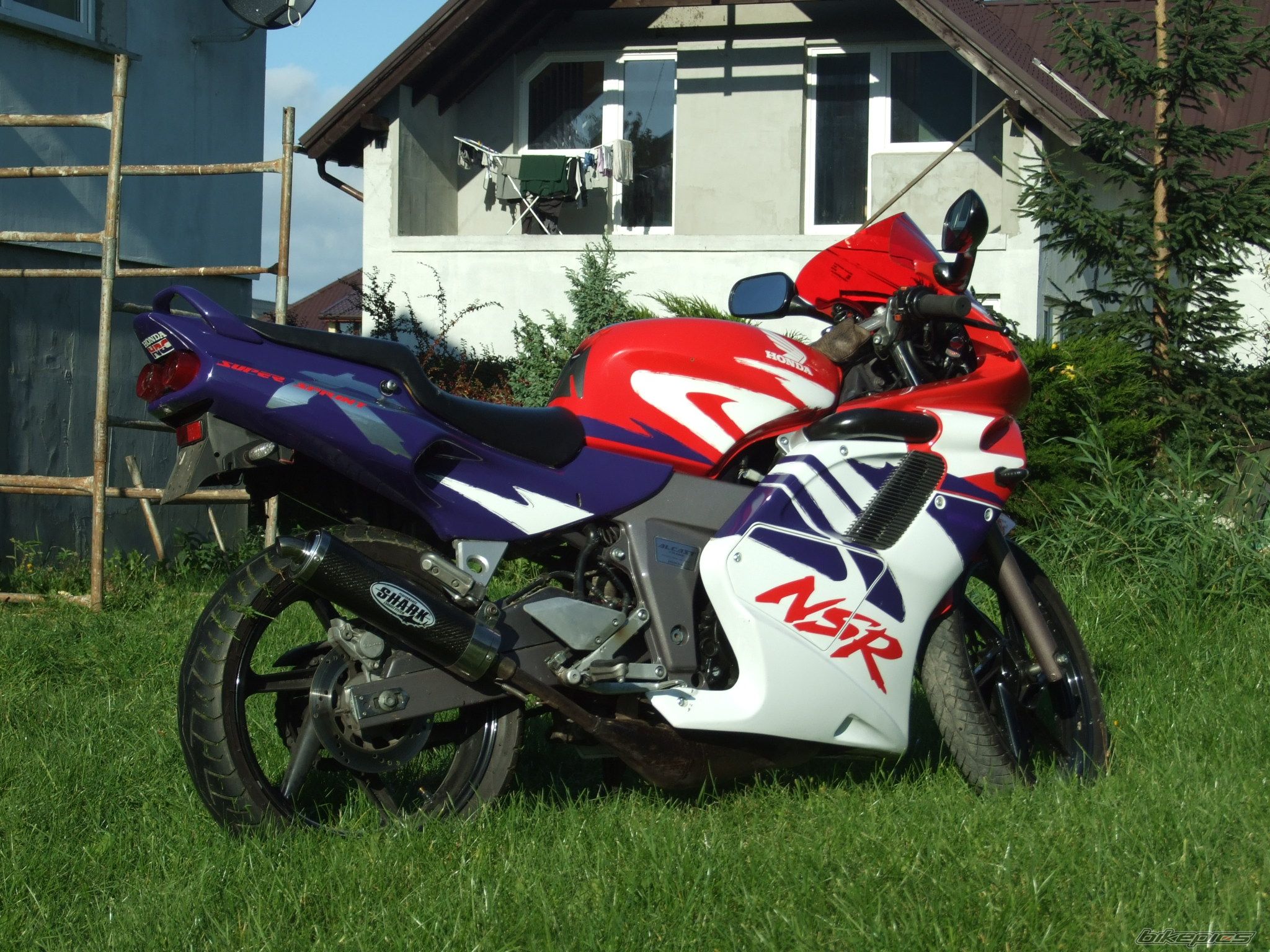 Photo 1432290