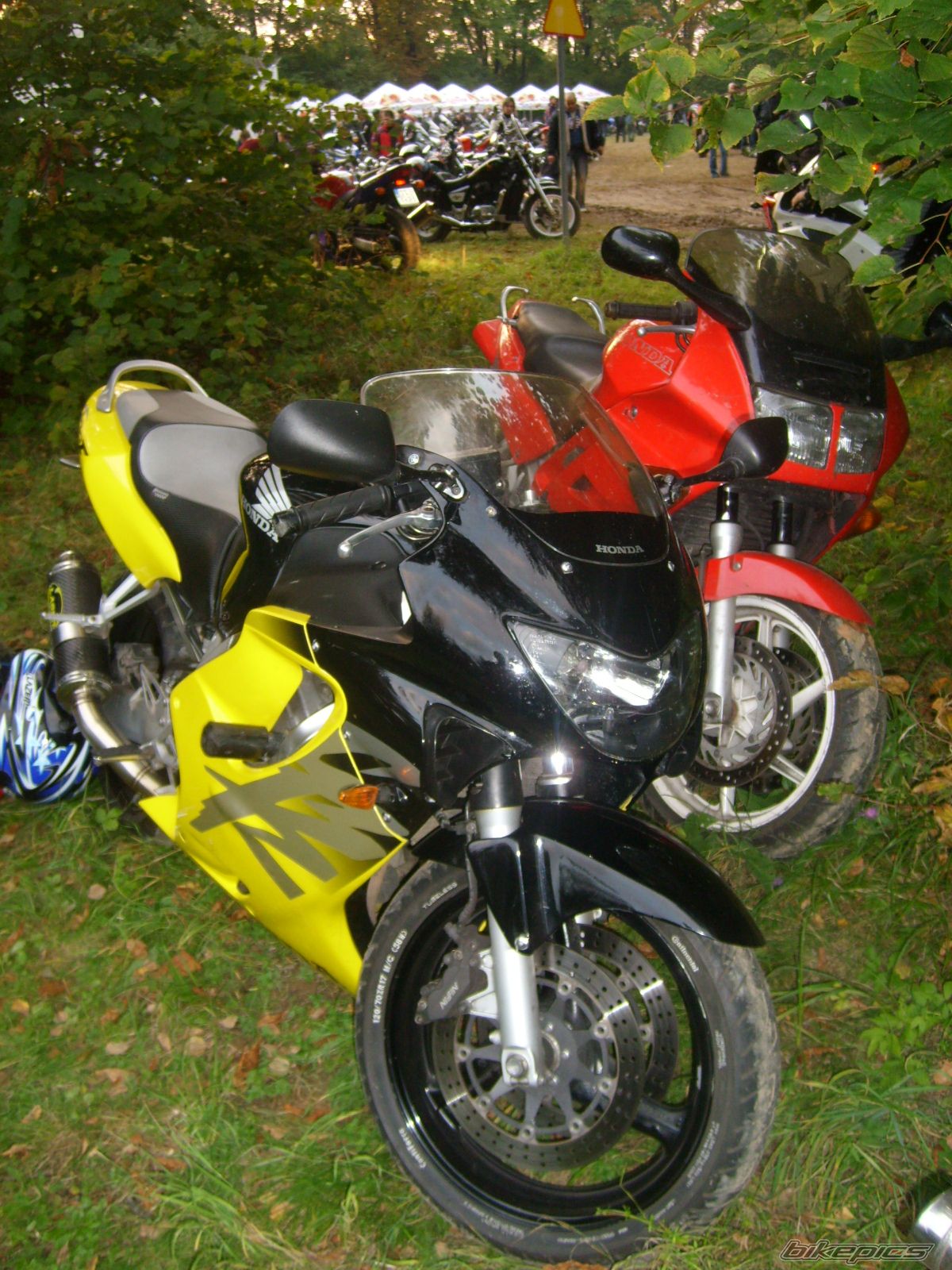Photo 1432292