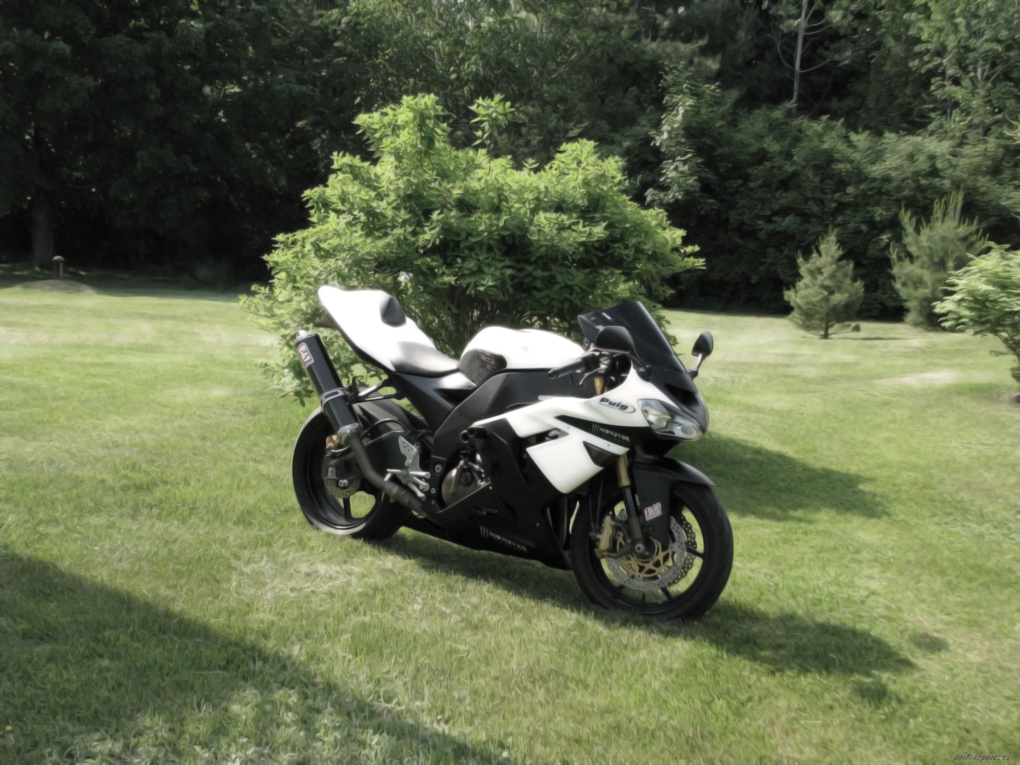 Photo 1432353