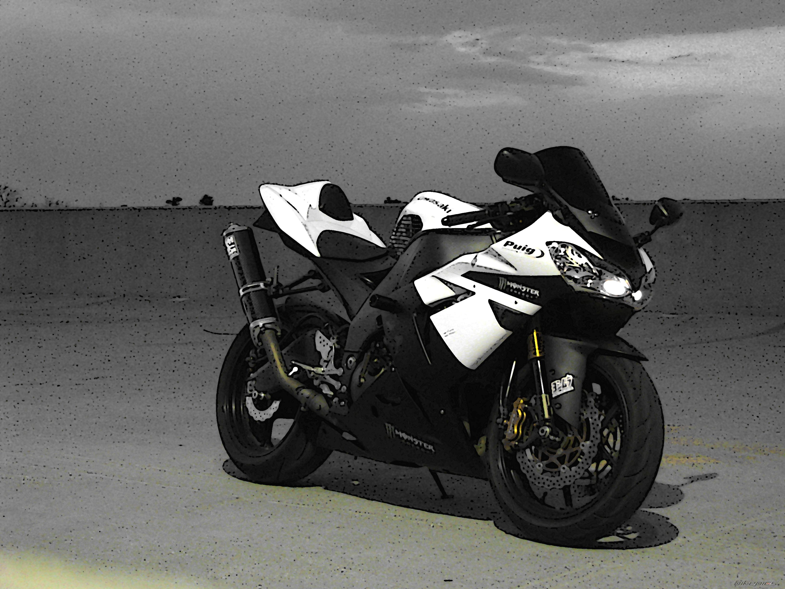 Photo 1432368
