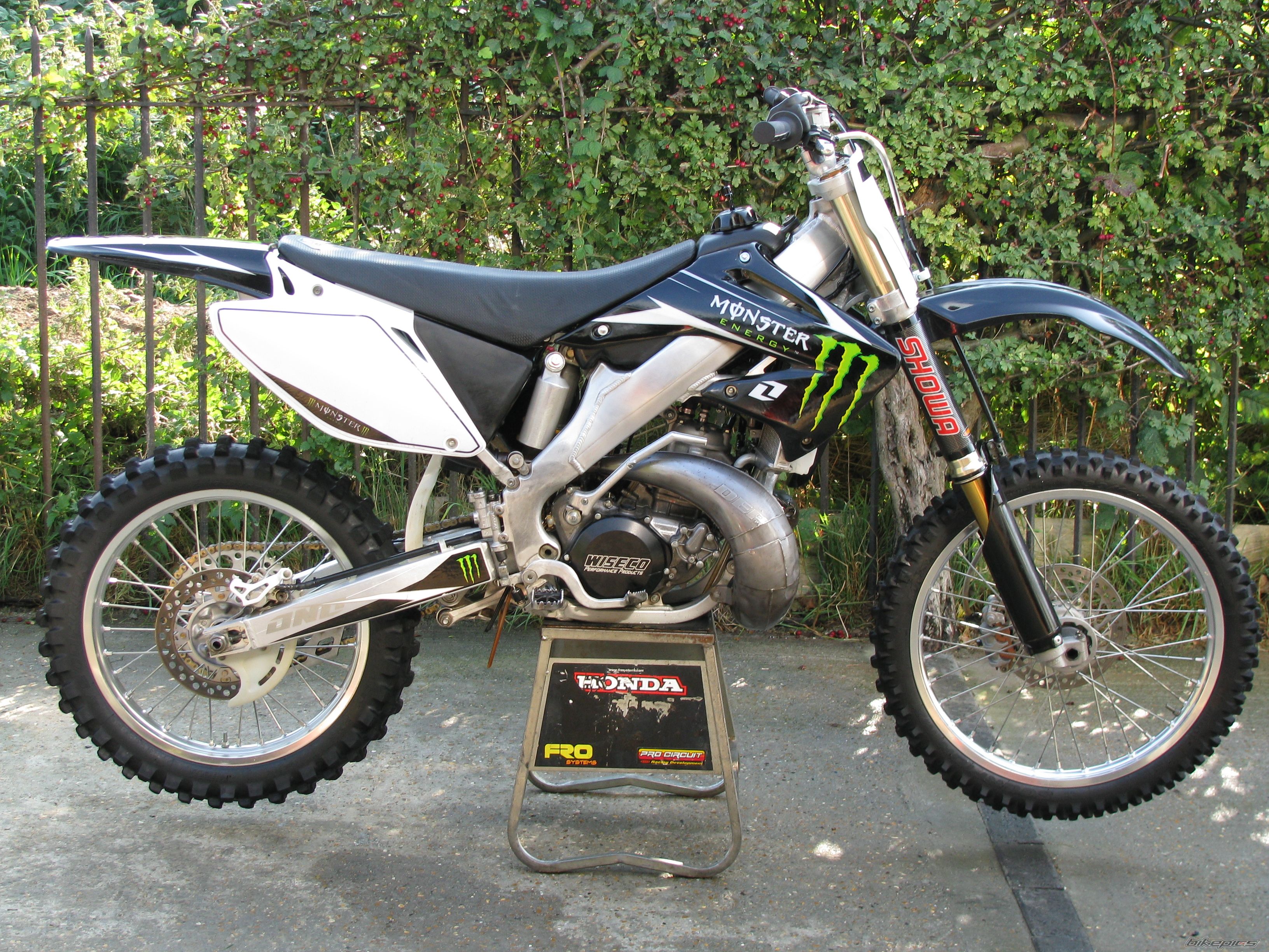 Photo 1432464