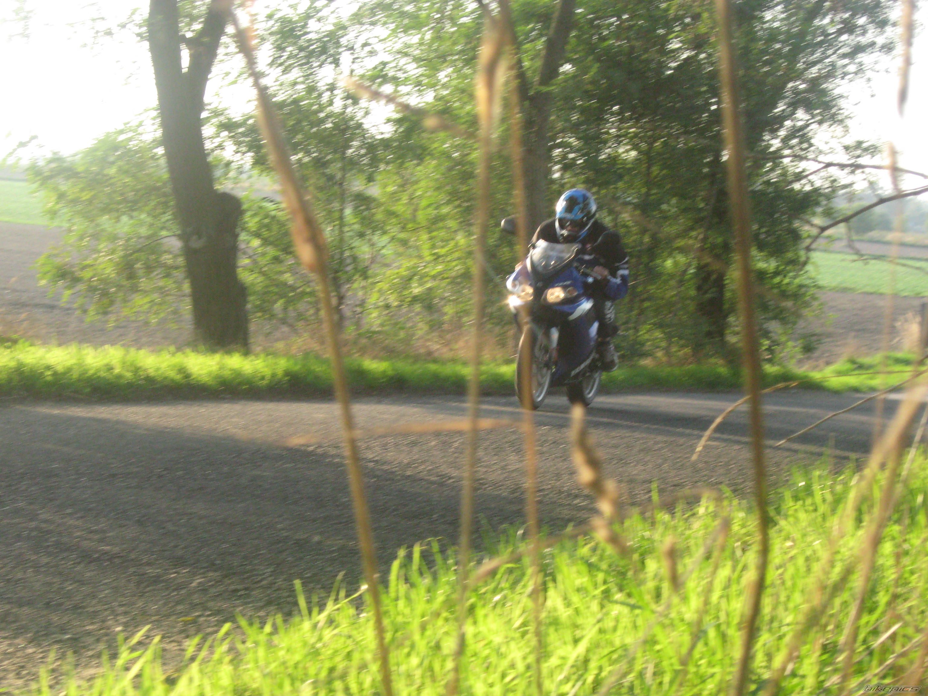 Photo 1432480