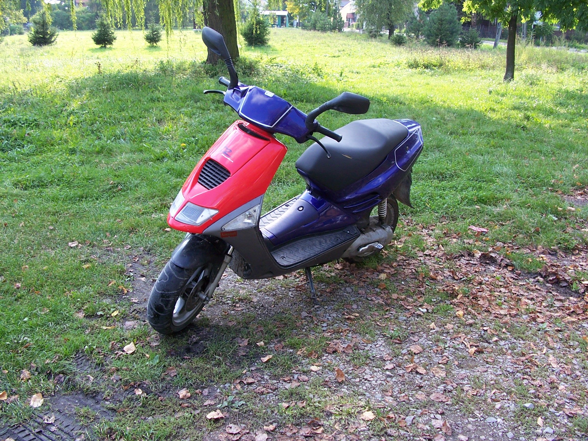 Photo 1432486
