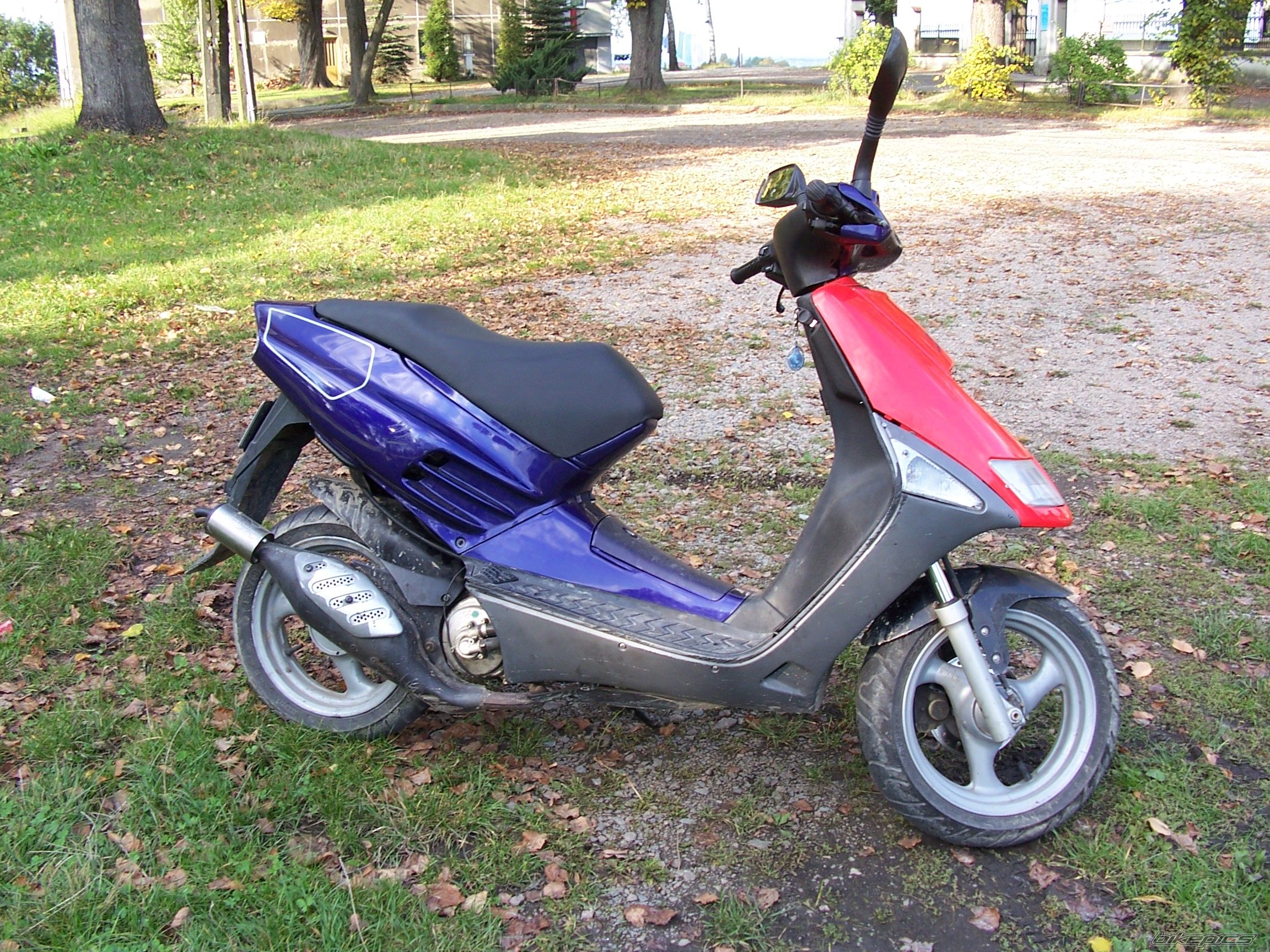 Photo 1432499