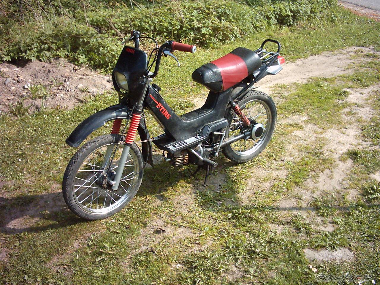 Photo 143260