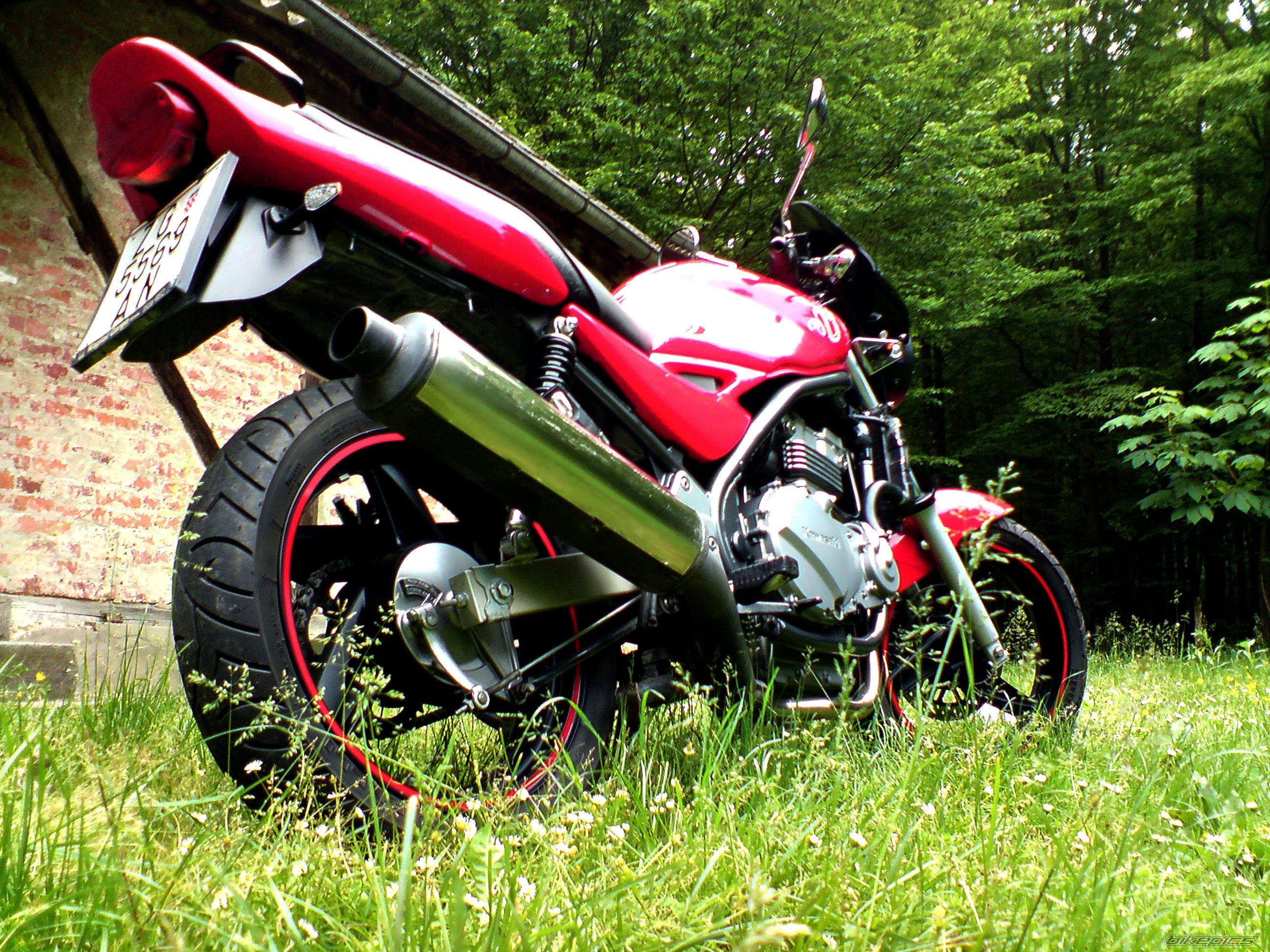 Photo 1432609