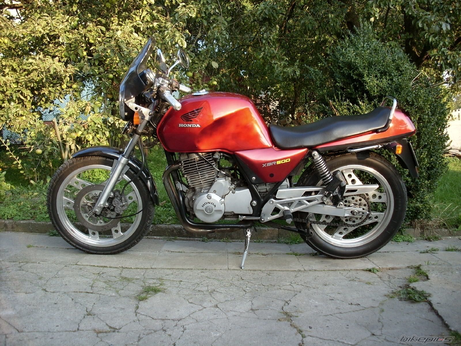 Photo 1432678
