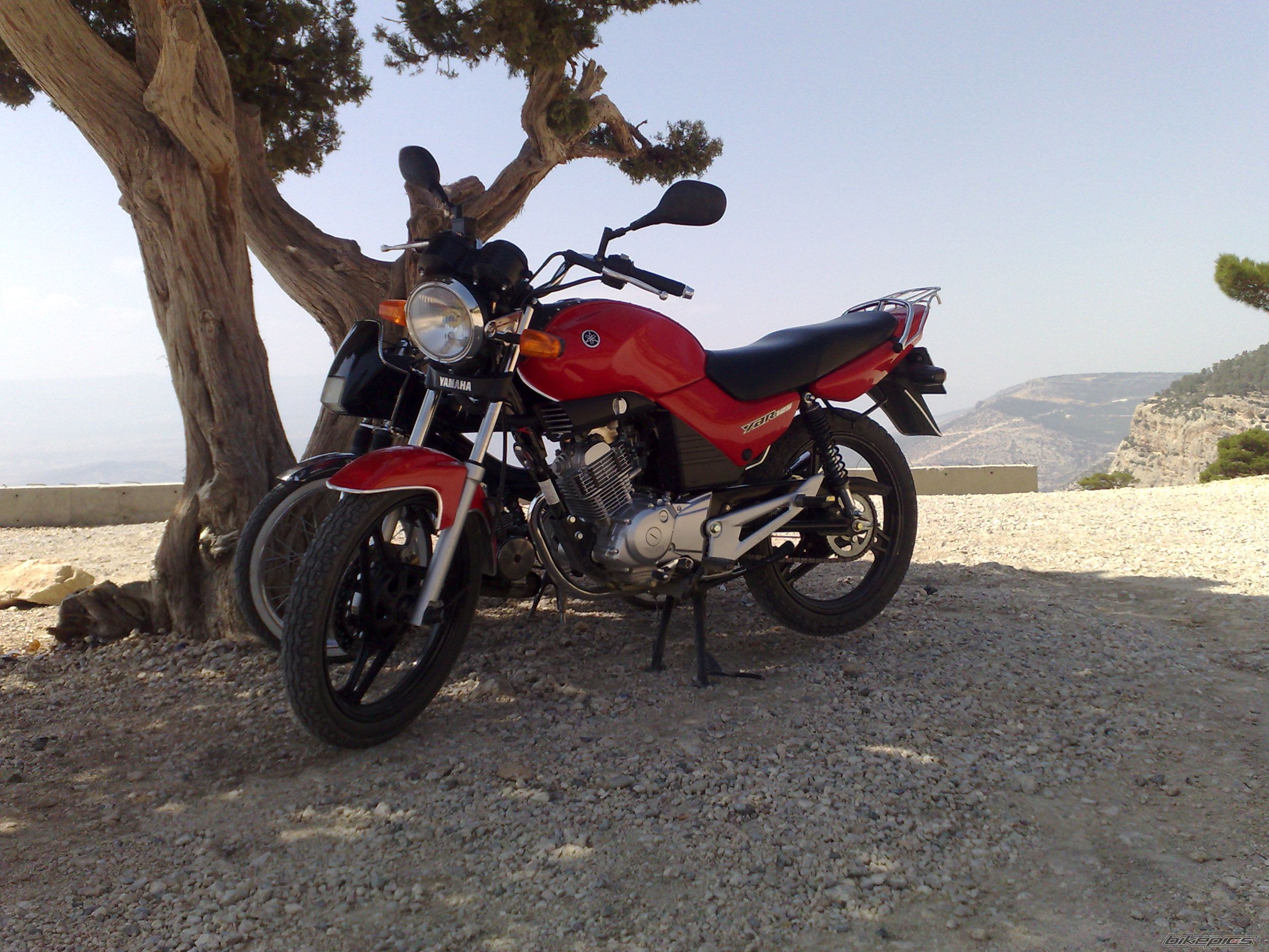 Bike Photo 1432697