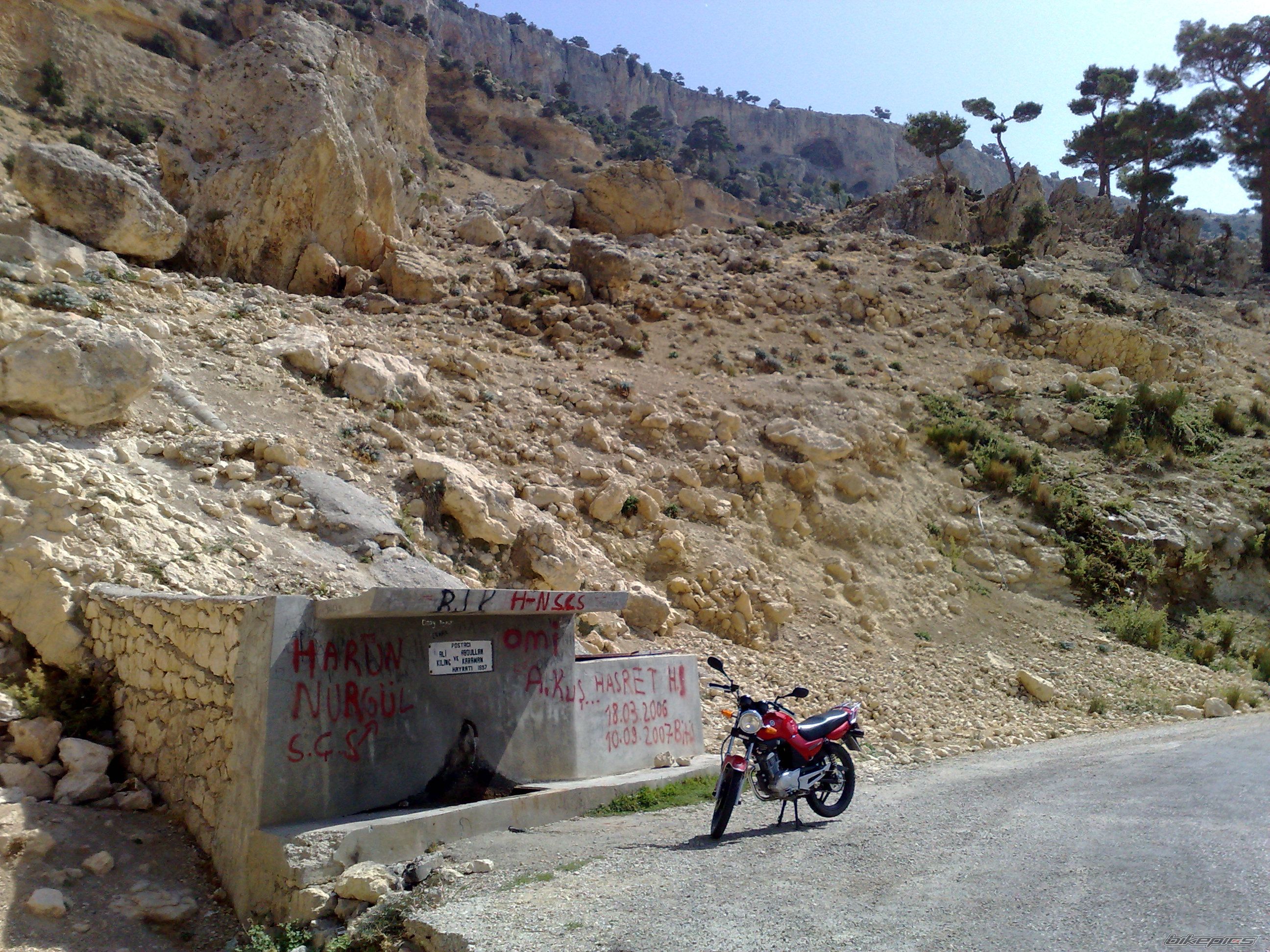 Bike Photo 1432702