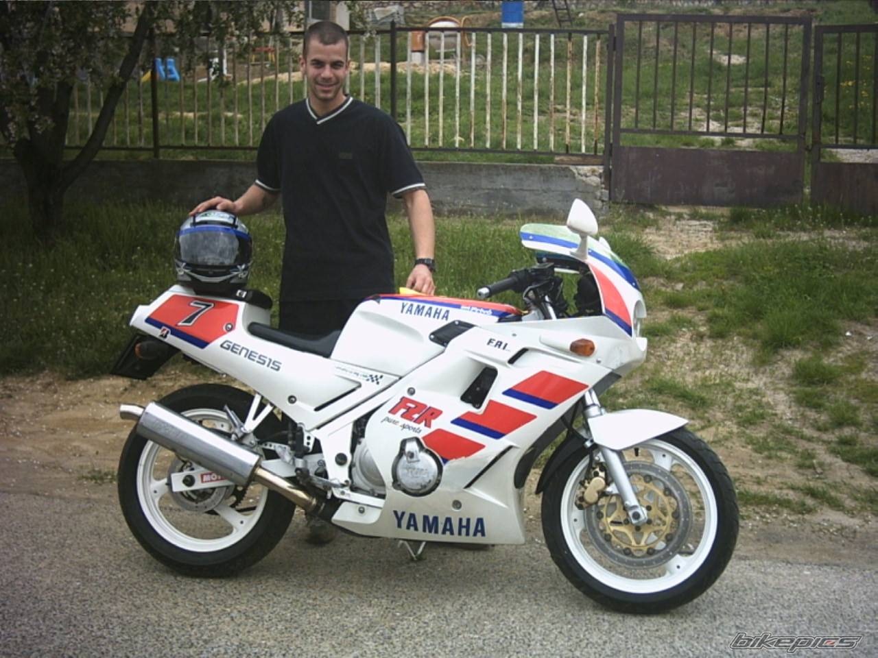 Photo 143271