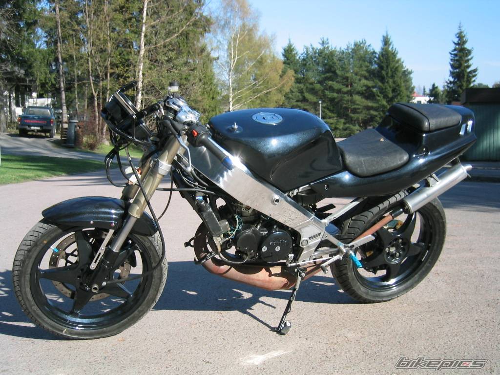Photo 143273