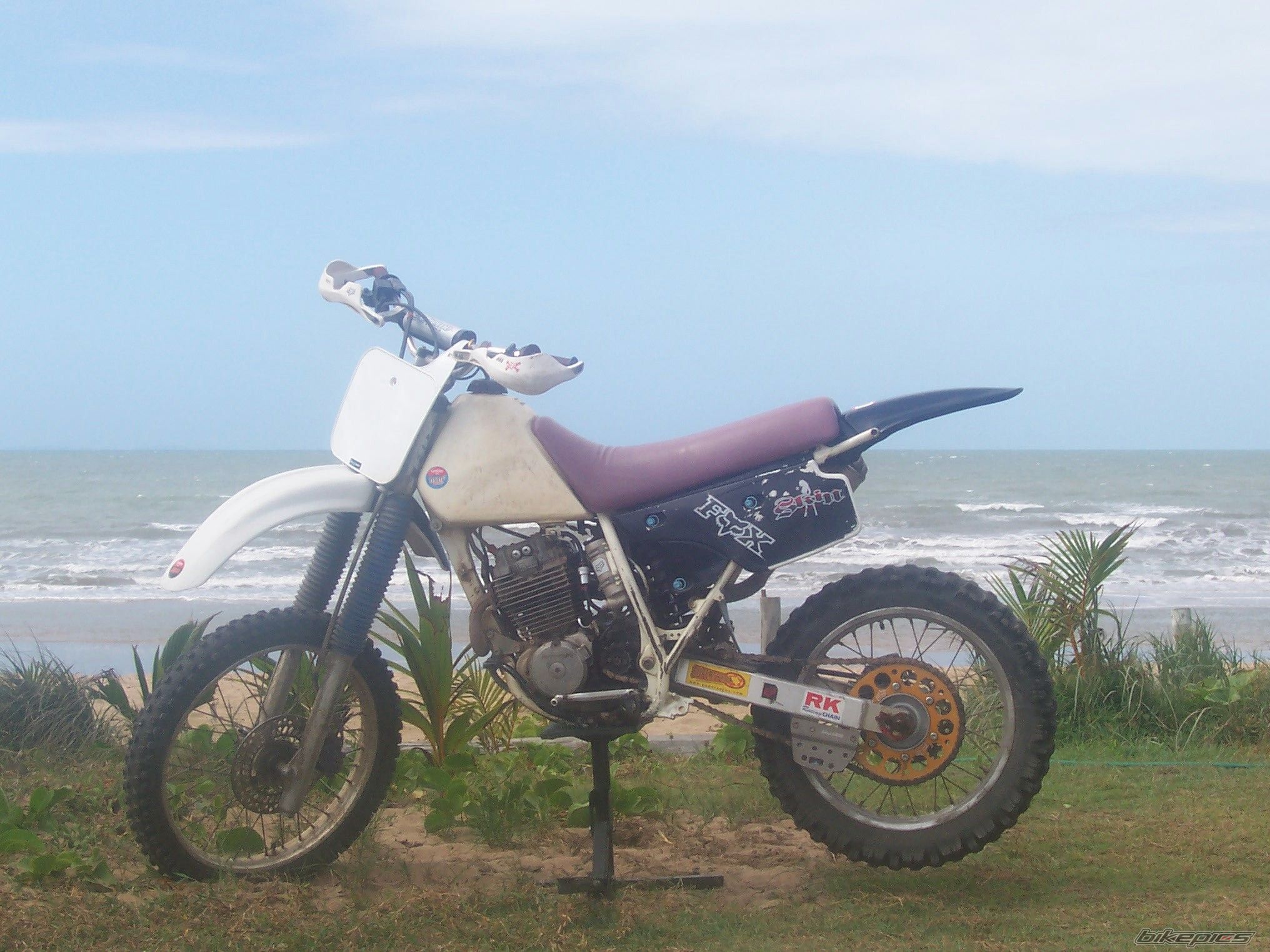 Photo 1432732