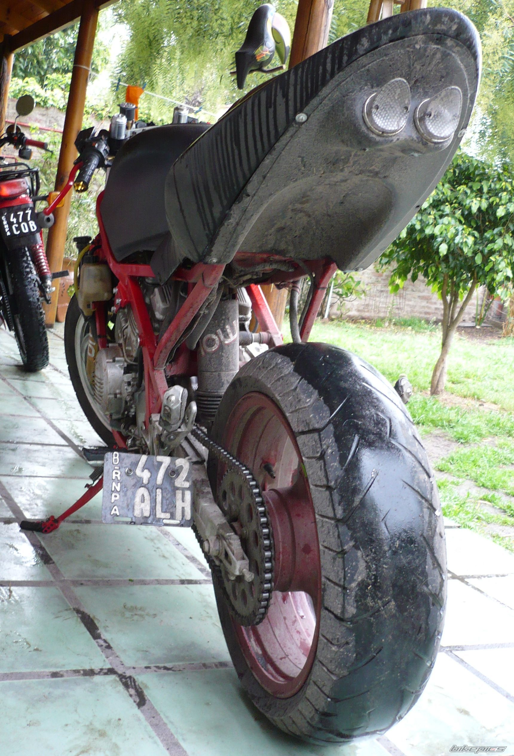Photo 1432736