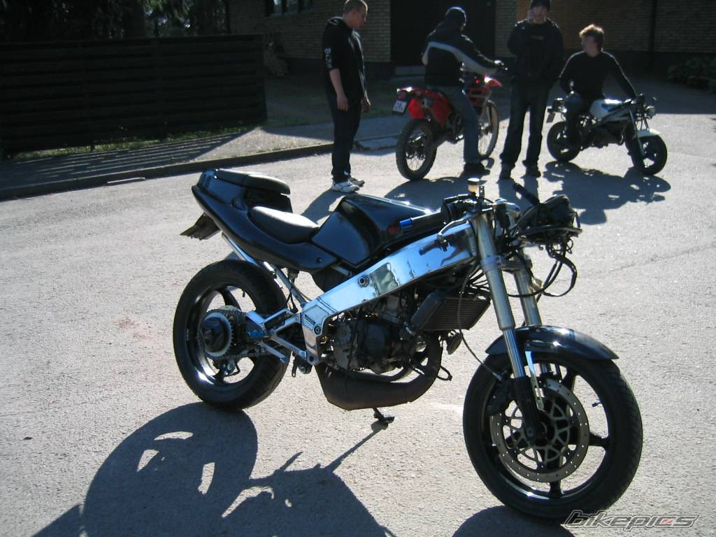 Photo 143274