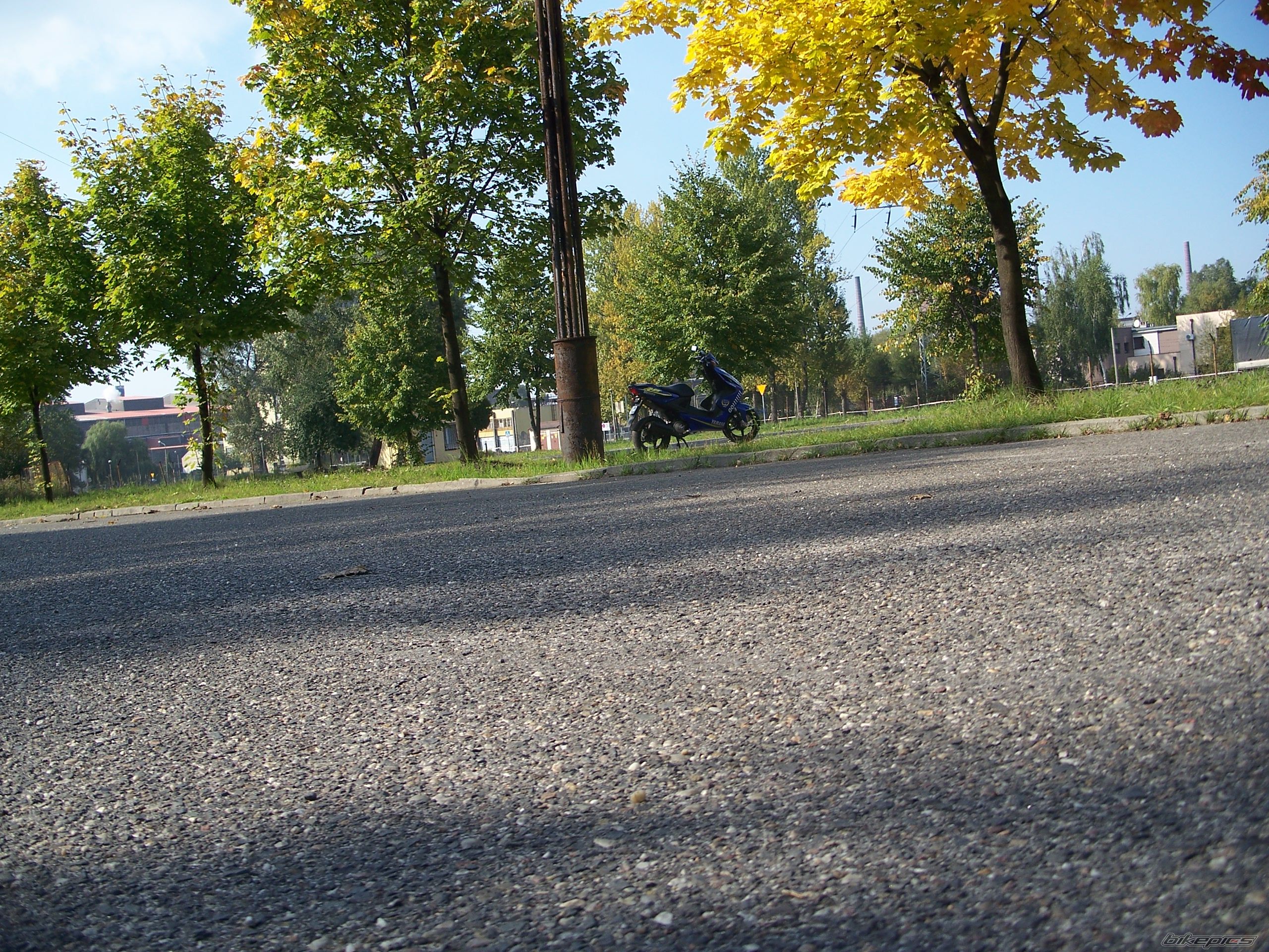 Photo 1433004